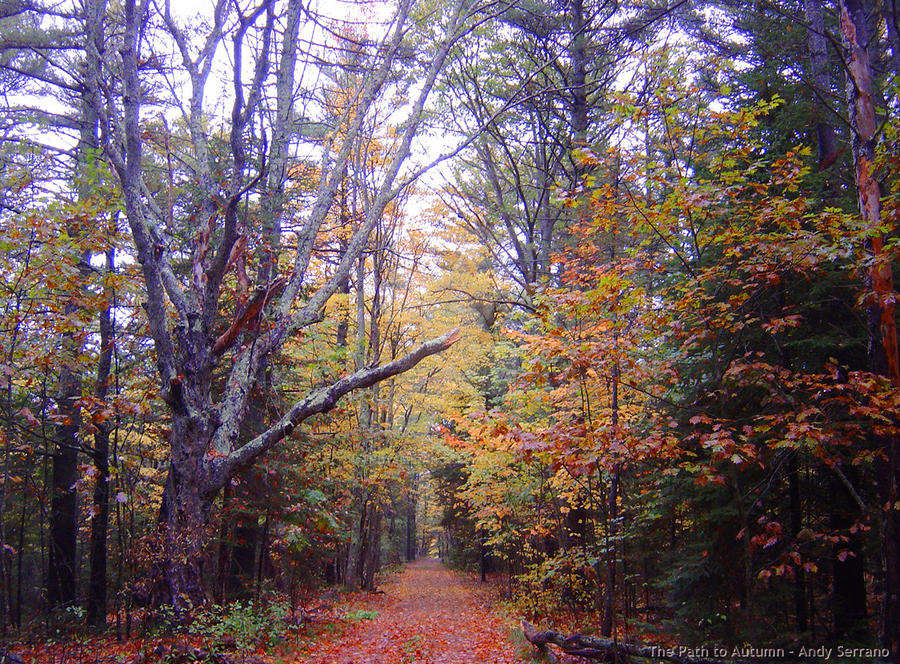 The Path to Autumn