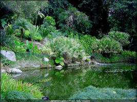 Japanese Garden 12 Pond