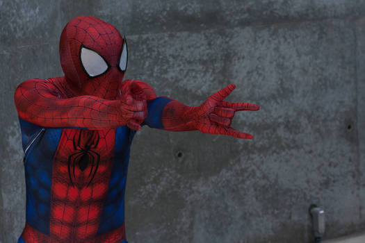 Spiderman - Fanime2014