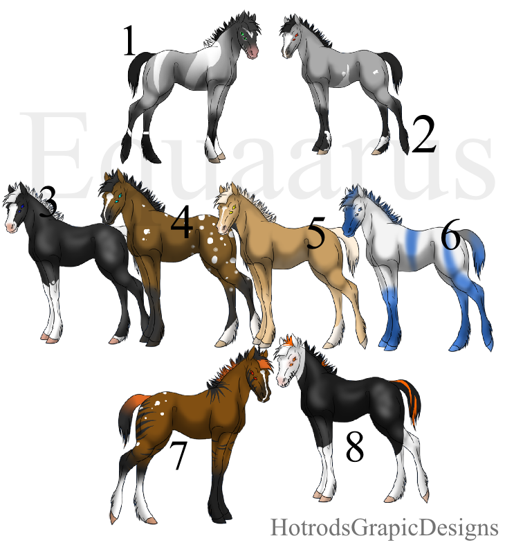 Equaarus Foal designs CLOSED