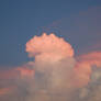 Pink Clouds -sunset-