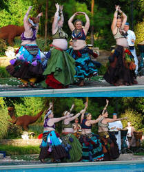 4Belly Dancers1