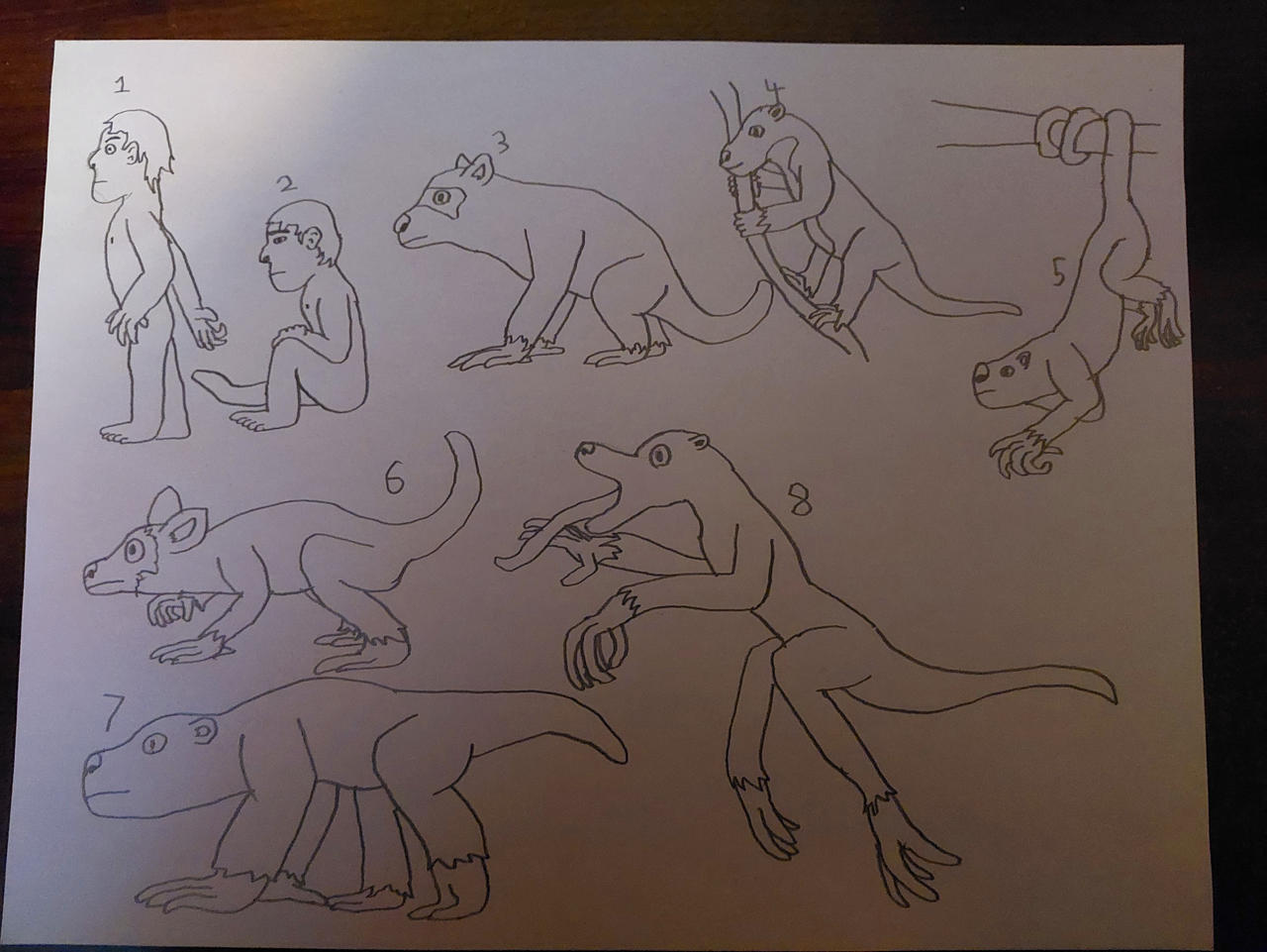 Primates Deviantart Base Primates of New Madagascar by porcupine4444 on DeviantArt