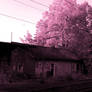 train station - pink