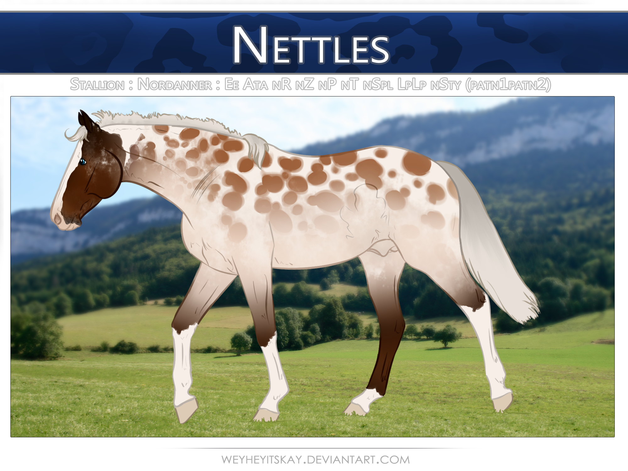 5758 DHC Nettles