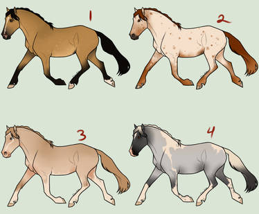 OPEN - Natural Horse Adopts