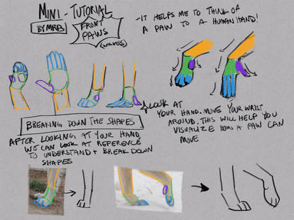 Explore the Best Paw Art | DeviantArt
