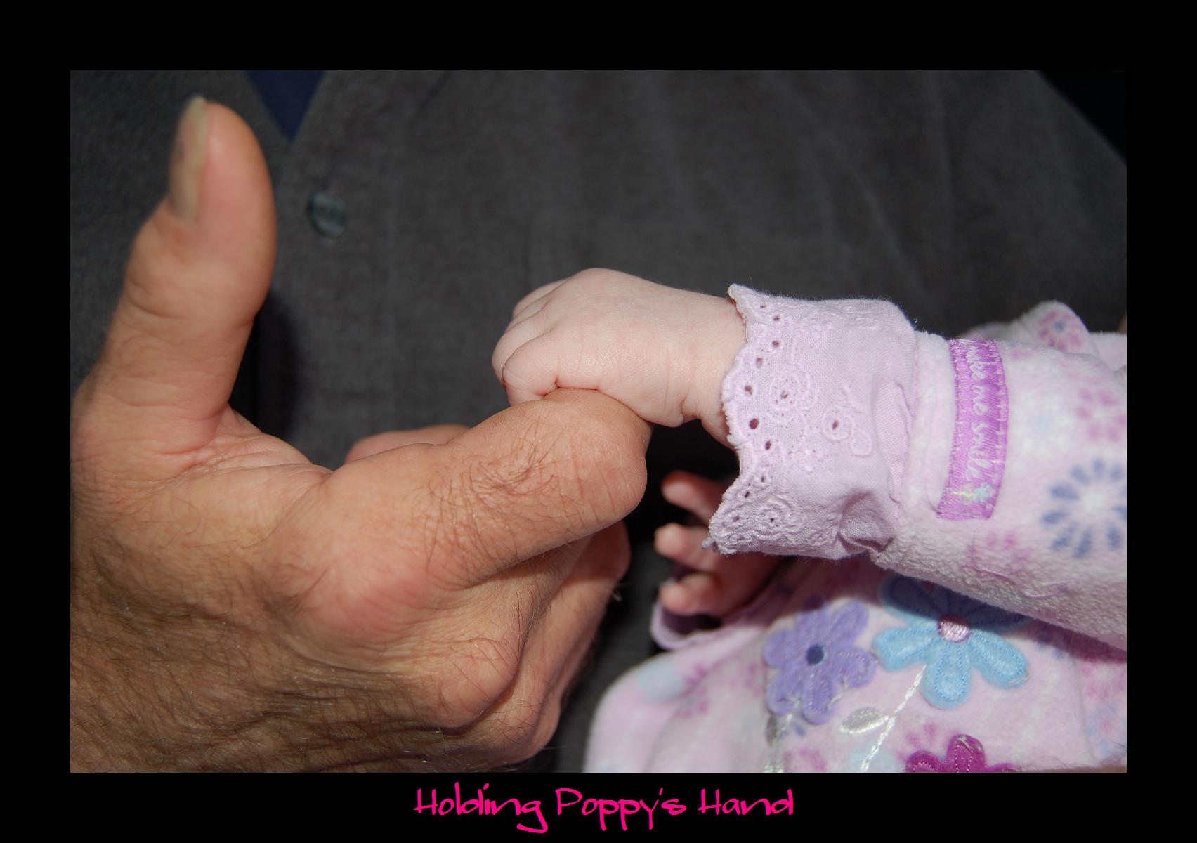 Holding Poppy's Hand