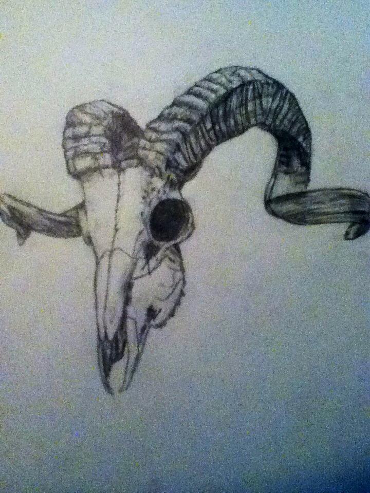 Ram Skull