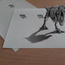 3d T'rex