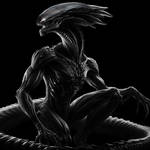 Xenomorph by xspat