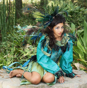 Peacock Fairy Costume