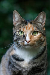 Designedbysweet Student Traditional Artist Deviantart Designedbysweet Student Traditional Artist Deviantart