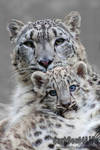 Mother and Son by darkSoul4Life