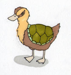 Turtle Duck