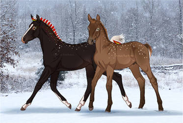 Chirstmas foal breeding slot auction - closed