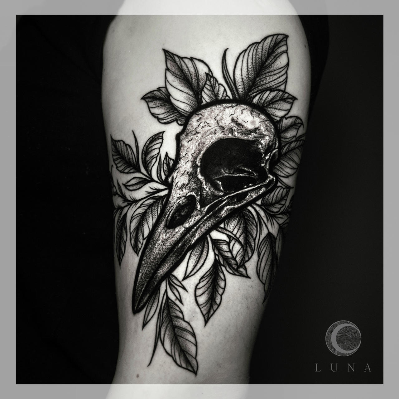 raven skull by lunatattoo on DeviantArt