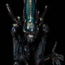 Alien Closeup