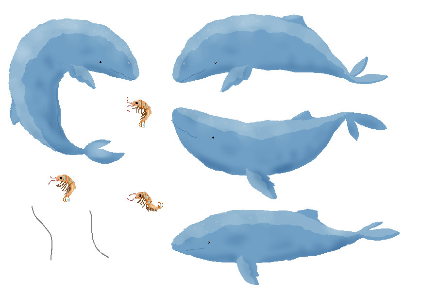 Whale