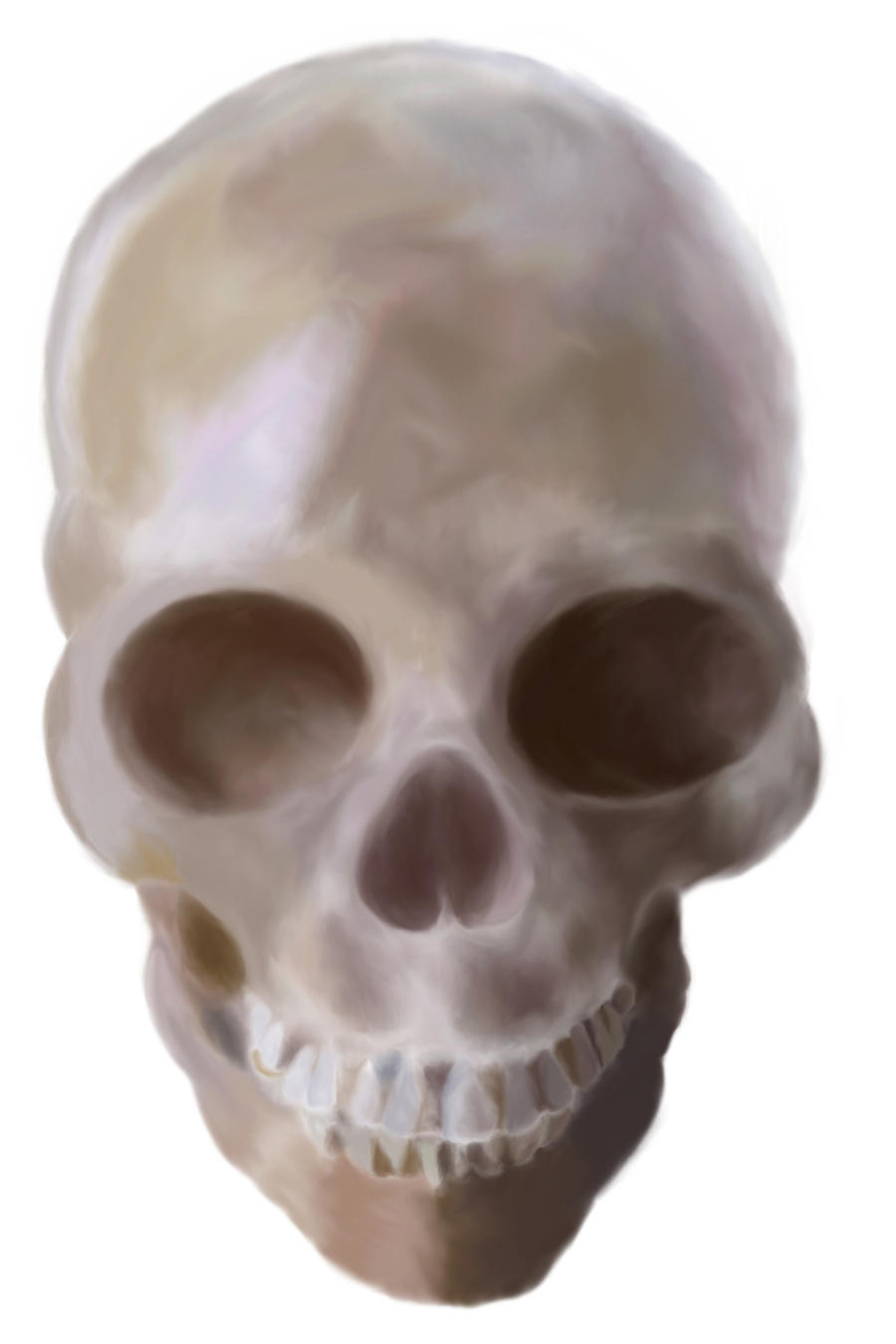 skull