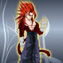 Vegetto SSJ4