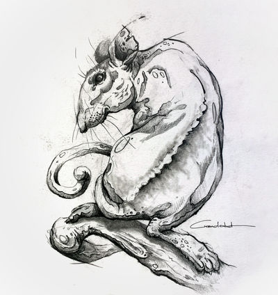 adapt by cvandotnet on DeviantArt