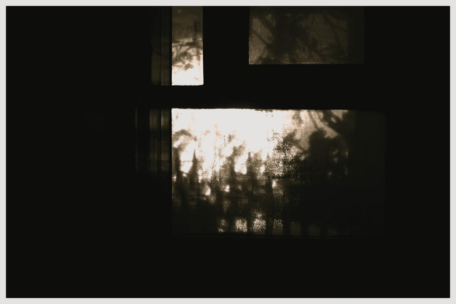 Undefined Shadow Shadows. by undiscl0sed7 on DeviantArt
