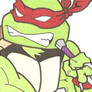 Raphael sketch card