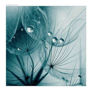 Turquoise by anna-earwen Turquoise by anna-earwen