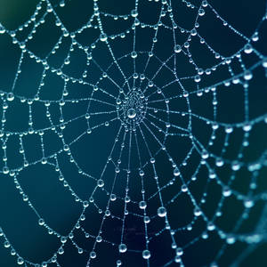 We're all connected by anna-earwen We're all connected by anna-earwen