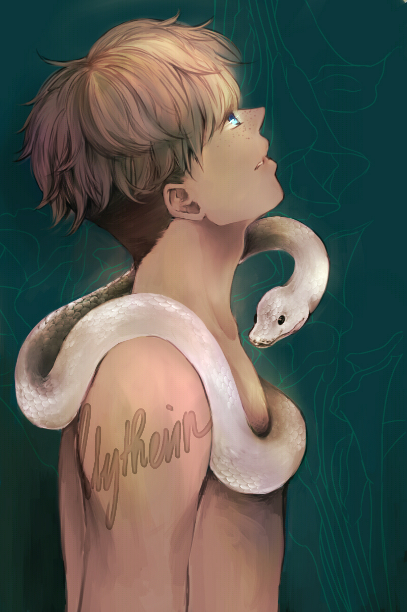 Illegibilus: Slytherin Hamish