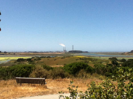 Moss Landing