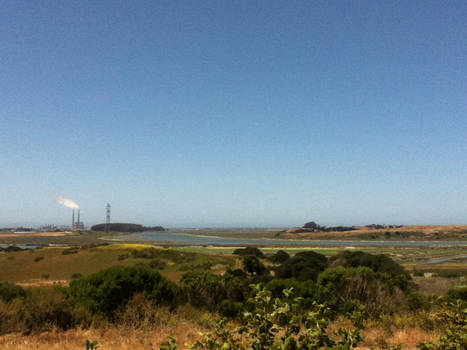 Moss Landing