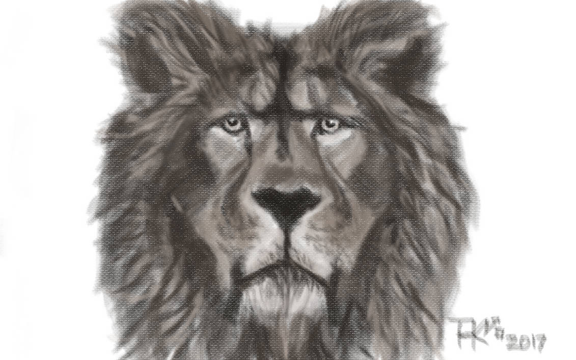 Mo Lion 3 by thkn777 on DeviantArt