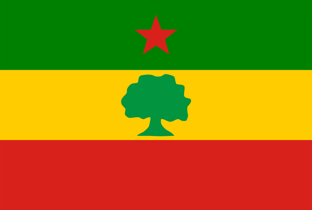 Панафриканизм. Флаг панафриканизма. Флаг Африки. Оромия флаг. Зелено желто красный флаг Африка.