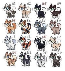 |Adoptables| 20point Kittens! (14/16 OPEN!)