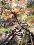 Philosopher's path by echowater Philosopher's path by echowater