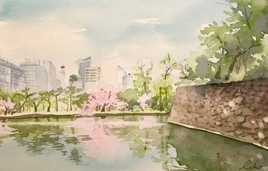The Tokyo Imperial Palace