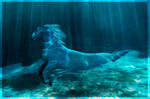 Hippocampus by Hazel23
