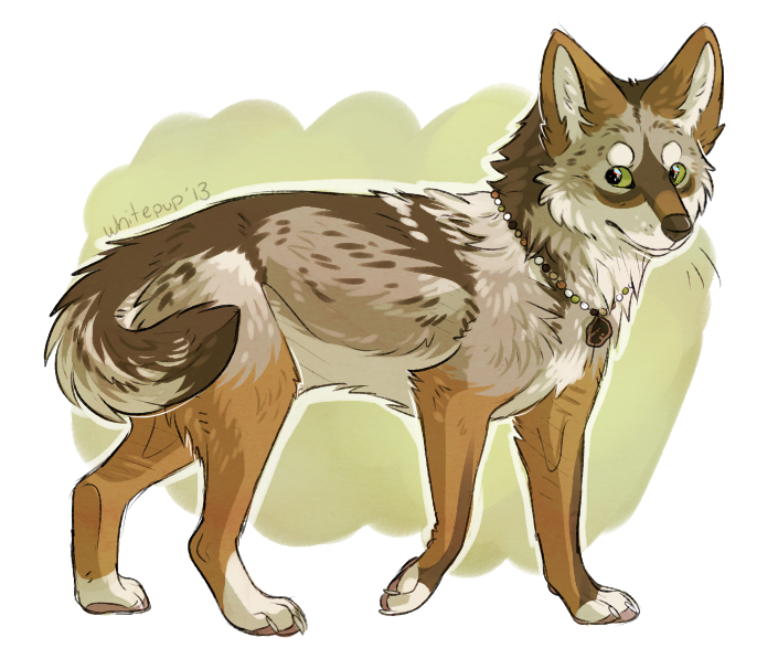 brush wolf