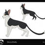 Tallstar concepts