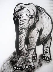 Dry brush elephant