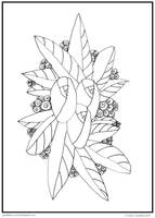 TO COLOUR LINEART 07_quaddles