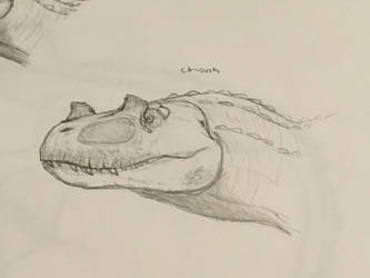 Ceratosaurus 