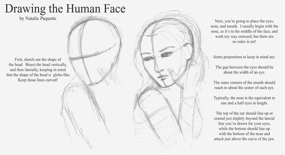 Drawing the Face