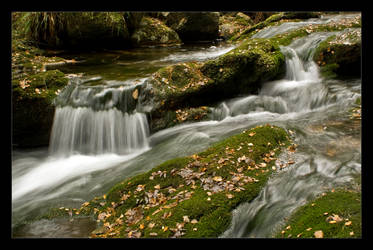 water rush