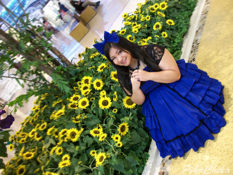 By the Sunflower Field