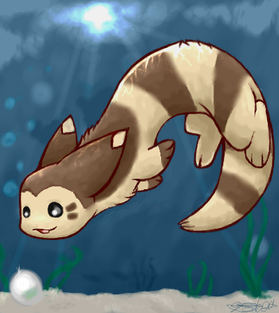 Not a Furret