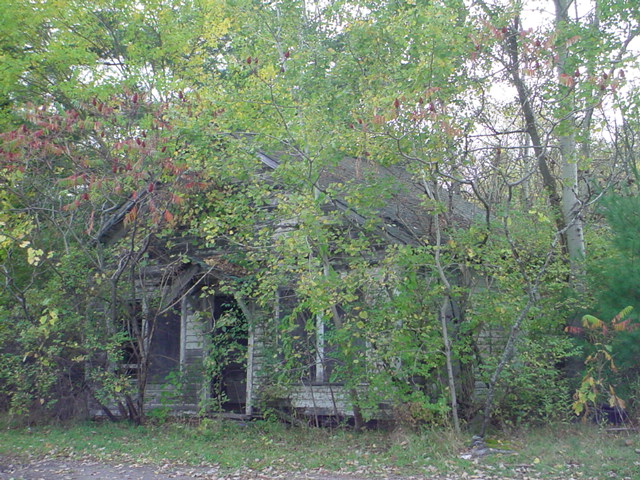 House in woods