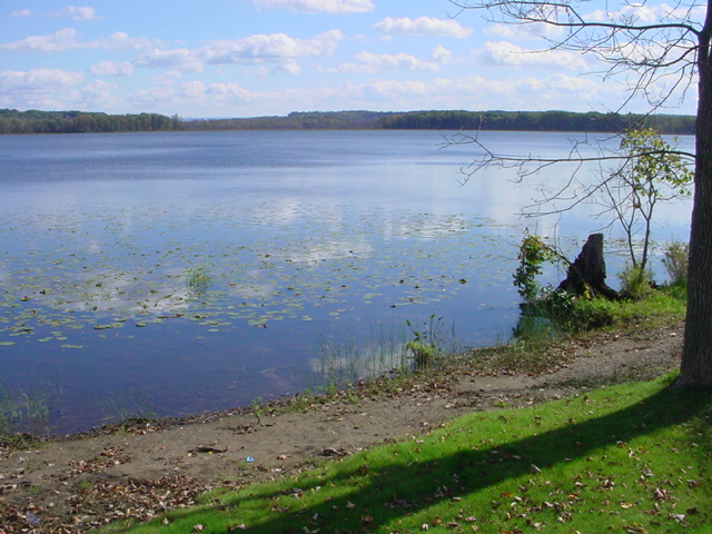 Lake view